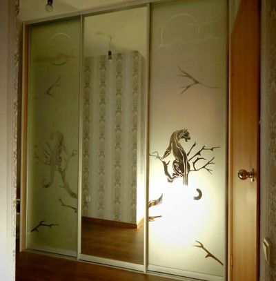 Лот: 8256717. Фото: 1. Шкаф-купе с прихожей "кошки". Шкафы, шкафы-купе