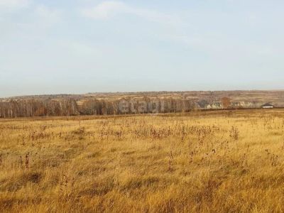 Лот: 21781879. Фото: 1. Продам участок 7.3 сот. Сосновоборское... Земельные участки