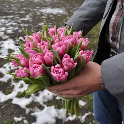 Лот: 15584863. Фото: 1. Тюльпаны Махровые Розе / из Голландии. Свежие цветы
