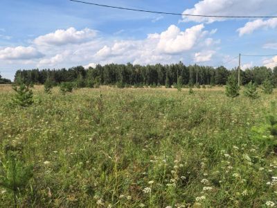 Лот: 25711014. Фото: 1. Участок. Земельные участки