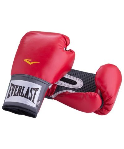 Лот: 22363595. Фото: 1. Перчатки боксерские Everlast Pro... Одежда для боевых искусств