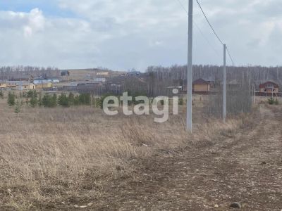 Лот: 22153724. Фото: 1. Продам участок 12 сот. Новосибирское... Земельные участки
