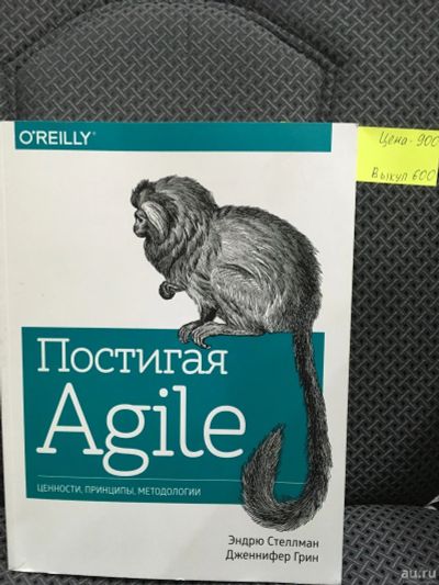 Лот: 12811788. Фото: 1. "Постигая Agile. Ценности. Принципы... Другое (литература, книги)