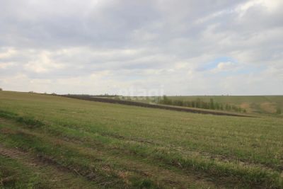 Лот: 25295763. Фото: 1. участок , СНТ Есаульский Бор Центральная... Земельные участки