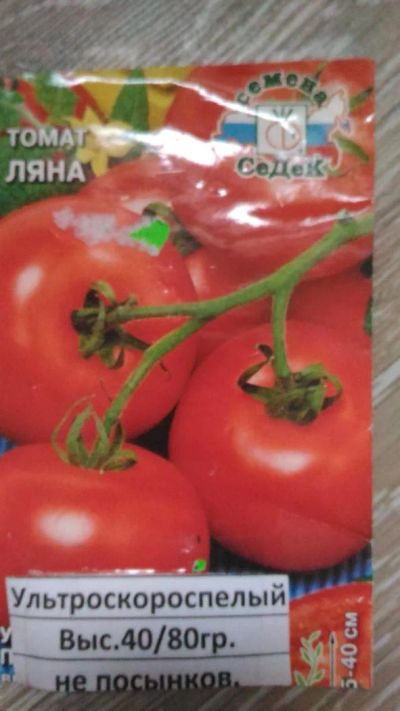 Лот: 9575454. Фото: 1. Рассада помидор (томатов) ультроскороспелый... Овощи