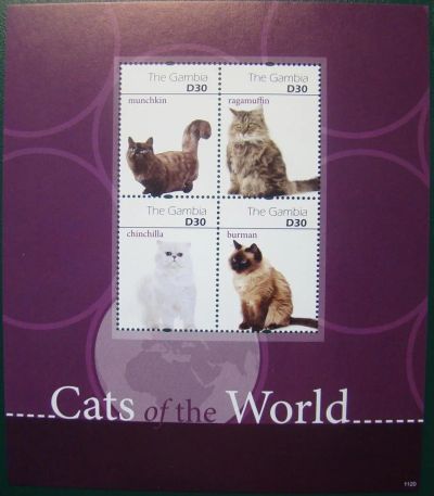 Лот: 10456237. Фото: 1. Гамбия 2011 пс мл MNH. Марки