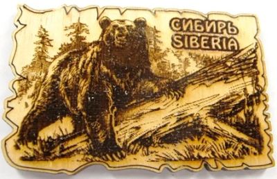Лот: 10549375. Фото: 1. Кедр Магнит Сибирь Медведь на... Магниты сувенирные