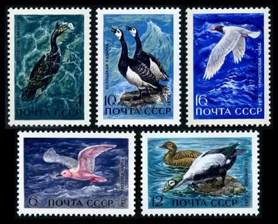 Лот: 5223096. Фото: 1. 1972 г. Пернатые - обитатели побережий... Марки