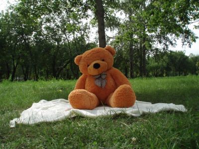 Лот: 3535159. Фото: 1. Большой плюшевый мишка / медведь... Мягкие