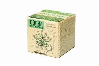 Лот: 11627555. Фото: 1. Набор для выращивания Экокуб Сосна. Конструкторы
