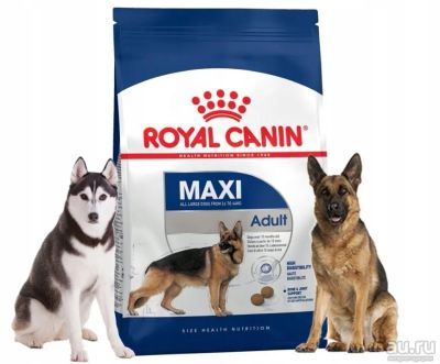 Лот: 16347518. Фото: 1. Royal Canin Maxi Adult (Роял Канин... Корма