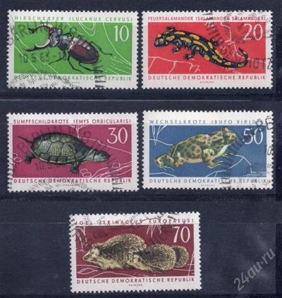 Лот: 2228647. Фото: 1. гдр 1963 фауна (Х). Марки