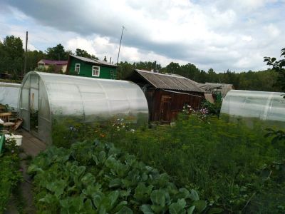 Лот: 14299598. Фото: 1. Продам дачу, Арейское. Дачи