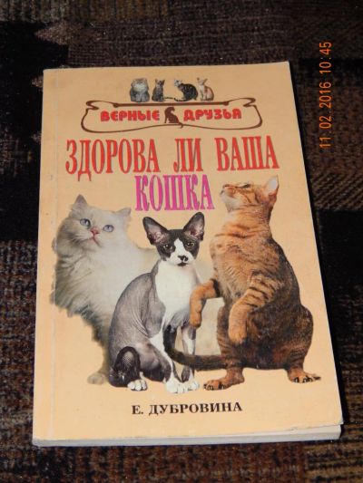 Лот: 6908257. Фото: 1. Здорова ли ваша кошка. Домашние животные