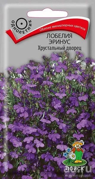 Лот: 13748696. Фото: 1. Лобелия хрустальный дворец. Садовые цветы