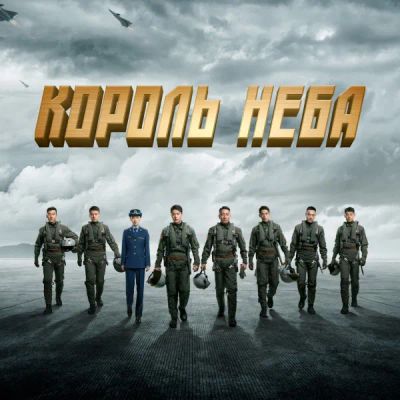 Лот: 24290979. Фото: 1. Король неба. Видеозаписи, фильмы