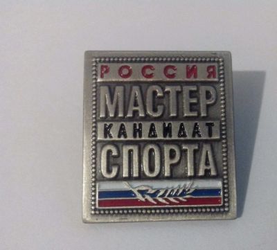 Лот: 4125968. Фото: 1. Тяжелый знак Россия. Кандидат... Сувенирные