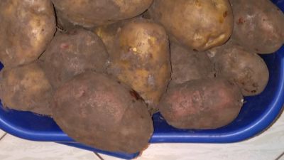 Лот: 16055816. Фото: 1. Картофель картошка из деревни. Картофель