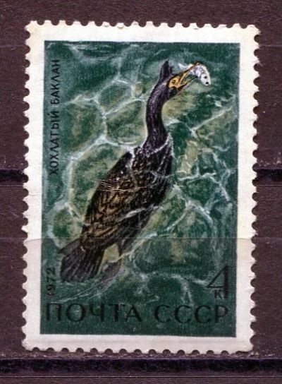 Лот: 15765505. Фото: 1. 1971 СССР Хохлатый баклан Птицы... Марки