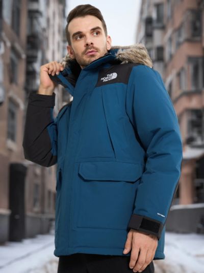 Лот: 24429965. Фото: 1. Пуховик мужской The North Face... Другое (спортивная одежда)