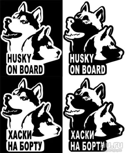Лот: 9635840. Фото: 1. Наклейка Husky on board. Наклейки автомобильные