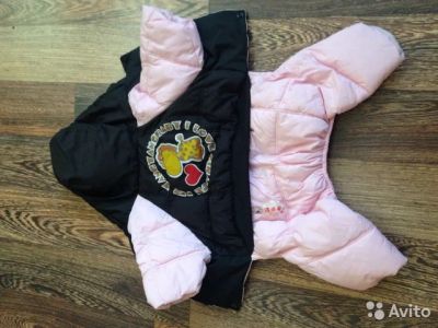 Лот: 5105103. Фото: 1. Комбинезон на небольшую собачку. Ошейники, одежда, конное снаряжение