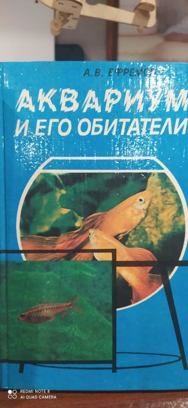 Лот: 18442815. Фото: 1. Книга. Книги