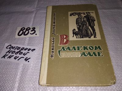 Лот: 13684915. Фото: 1. Доможаков Н., В далеком аале... Художественная