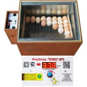 Лот: 9259406. Фото: 1. Инкубатор БЛИЦ 48. Пчеловодство