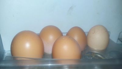 Лот: 12093454. Фото: 1. Яйцо куриное домашнее. Мясо, птица, яйцо