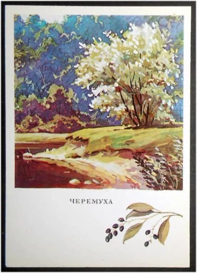 Лот: 7707919. Фото: 1. Открытка Богачев. Русский лес... Открытки, конверты