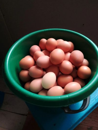 Лот: 25316961. Фото: 1. Яйца домашние диетические , c... Мясо, птица, яйцо