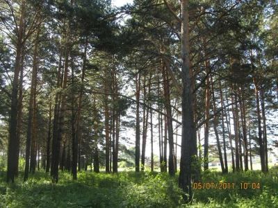 Лот: 10322110. Фото: 1. земельный участок ИЖС подходит... Земельные участки