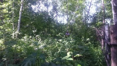 Лот: 5707192. Фото: 1. Участок в поселке Овинный. Земельные участки
