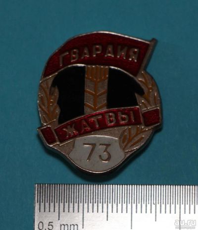 Лот: 9864495. Фото: 1. Редкий, наградной знак: Гвардия... Сувенирные