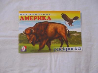 Лот: 61726. Фото: 1. Мир животных Америка (раскраска... Другое (дети растут)