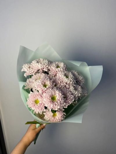 Лот: 23247792. Фото: 1. Букет-комплимент из кустовых хризантем. Свежие цветы
