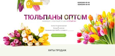 Лот: 11048736. Фото: 1. Готовый сайт одностраничник. лэндинг... Подарки на 8 марта