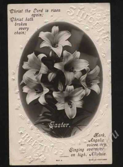 Лот: 467519. Фото: 1. ромашки из Англии 1911 года. Документы, ценные бумаги, письма