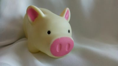 Лот: 21275934. Фото: 1. Игрушка-пищалка. Другое (игрушки)
