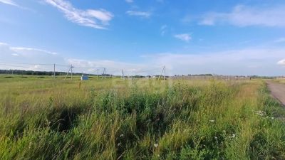Лот: 25602083. Фото: 1. участок , село Есаулово Плодовая... Земельные участки