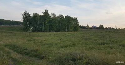 Лот: 14008681. Фото: 1. Земельный участок. 5 соток. Район... Земельные участки