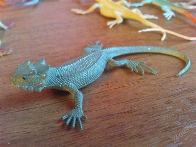 Лот: 1428595. Фото: 1. ящерица (не живая) для поделок... Фигурки, статуэтки
