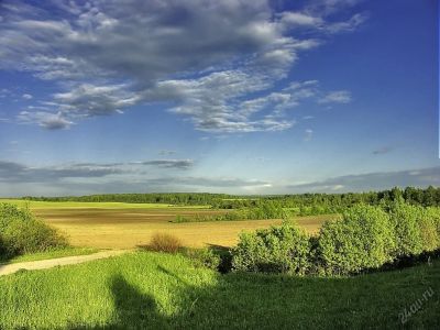 Лот: 5642117. Фото: 1. Участок под личное подсобное хозяйство... Земельные участки