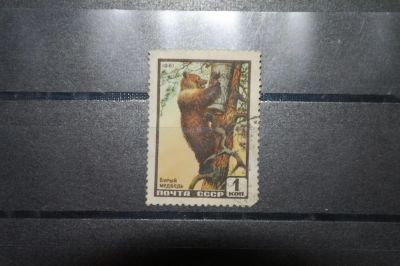 Лот: 3740036. Фото: 1. 1961 Бурый медведь (2445). Марки