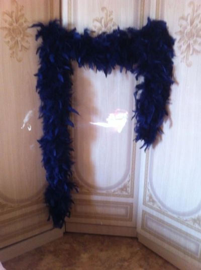 Лот: 4609539. Фото: 1. Боа. Натуральные перья. Шарфы, платки