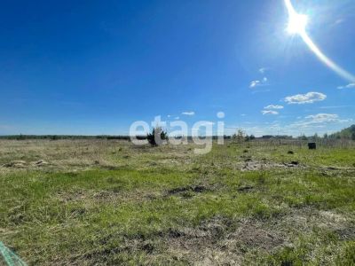 Лот: 25297280. Фото: 1. участок , садовые участки Штаны... Земельные участки
