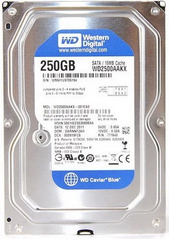 Лот: 4608055. Фото: 1. Жесткий диск WD 250Gb SATA 2 Новый. Жёсткие диски