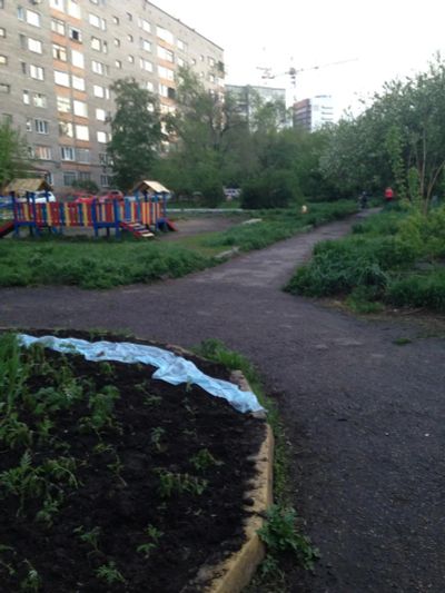Лот: 7632388. Фото: 1. Подвал. Погреб овощехранилище. Подвалы, погреба, кладовые