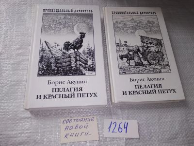 Лот: 19314251. Фото: 1. Акунин Борис. Пелагея и красный... Художественная